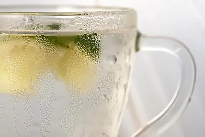 Sodastream
